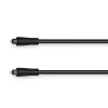 Hama 00179210 InfiniBand/fibre optic cable 0.75 m TOSLINK ODT Black