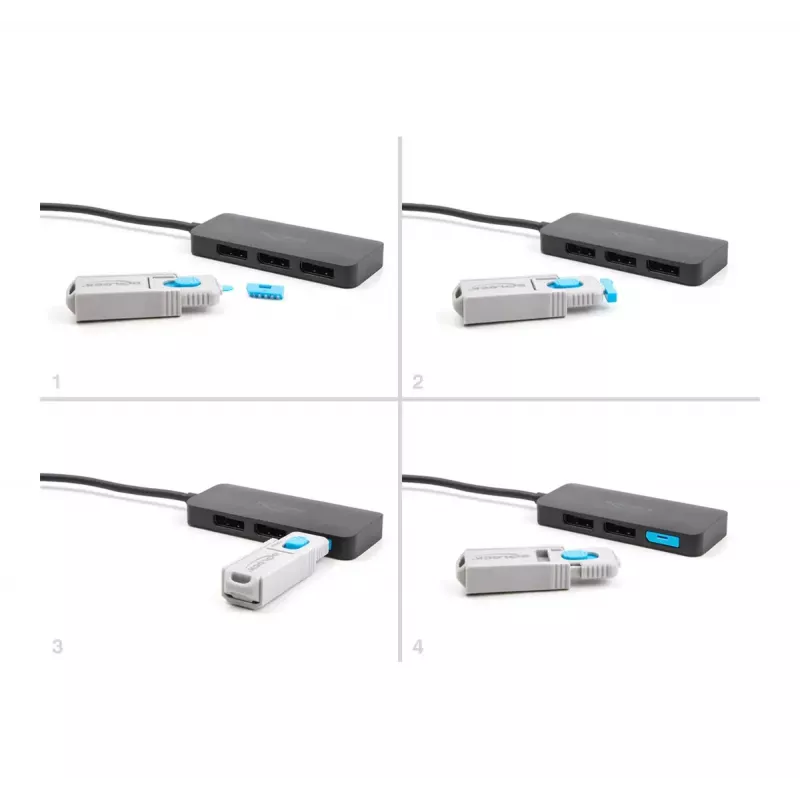 Port blocker DeLOCK 20951 10 Port Blocker DisplayPort female blue