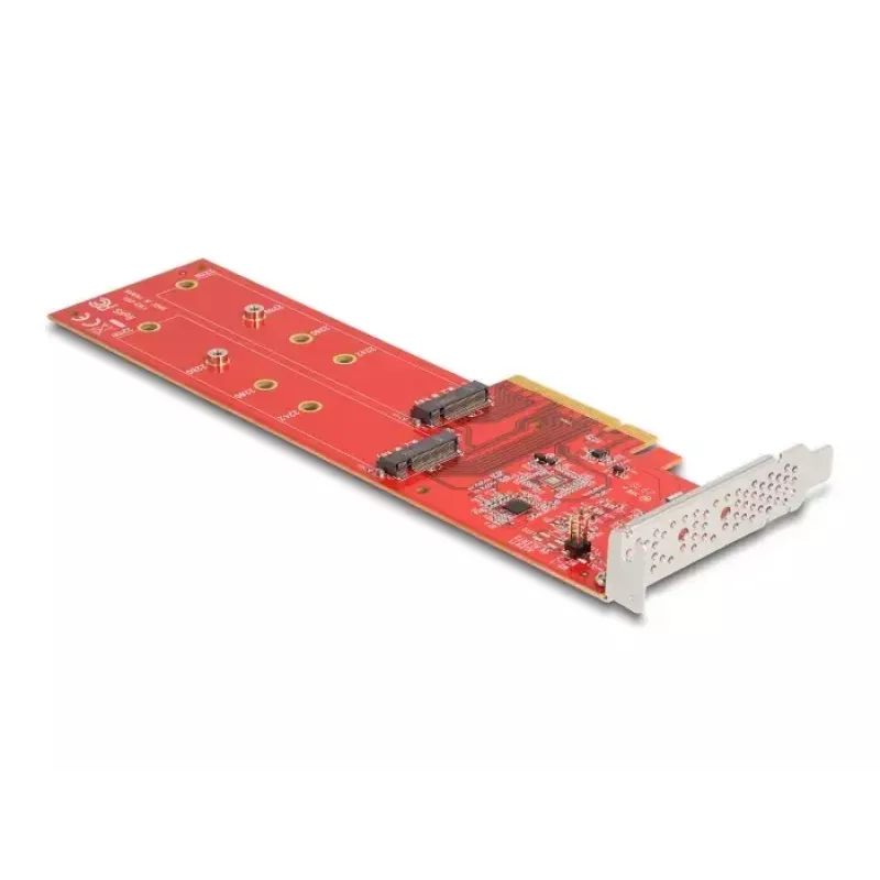 DeLOCK PCI Express x8 Card to 2 x internal NVMe M.2 Key M 110 mm Bifurcation Low Profile
