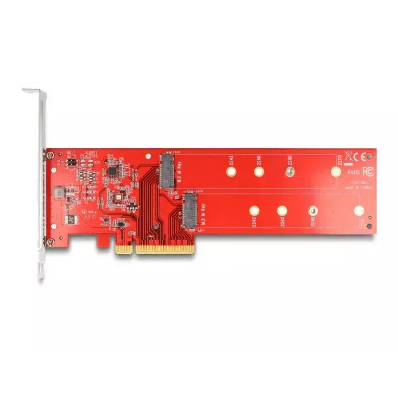DeLOCK PCI Express x8 Card to 2 x internal NVMe M.2 Key M 110 mm Bifurcation Low Profile