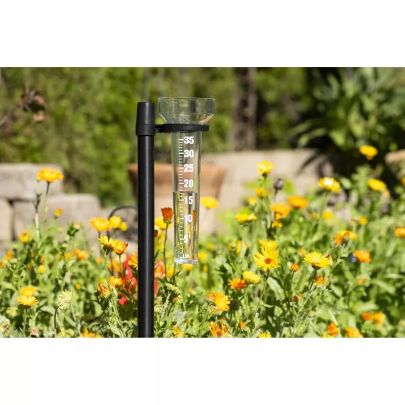 Hama 00185863 rain gauge 3.5 cm Black, Transparent