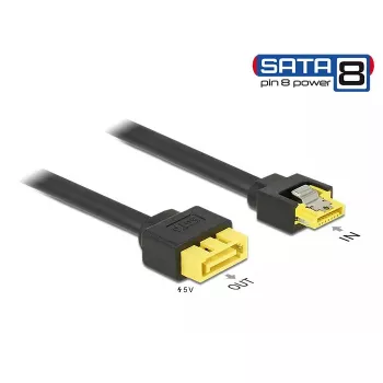 SATA Cable DeLOCK 0.3m SATA/SATA 8p