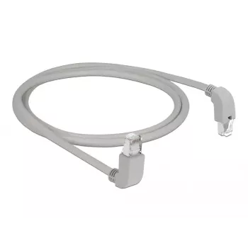 Networking Cable DeLOCK 85862 Cat6 S/FTP 1m Grey
