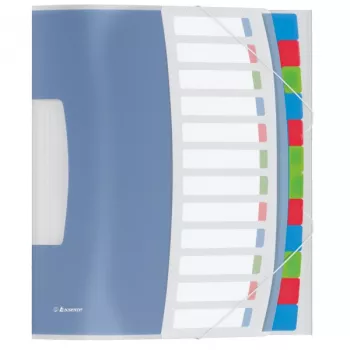Esselte Divider Book Vivida PP 12 tabs, Blue, Multicolour, Polyvinyl chloride (PVC), A4, 266 mm, 20 mm, 320 mm