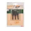Bosch 2609255302 Rasp