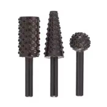 Bosch 2609255302 Rasp