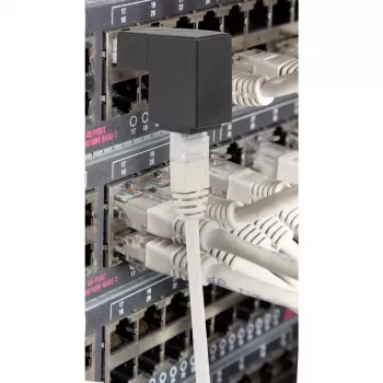 Cable gender changer Renkforce RF-4087416