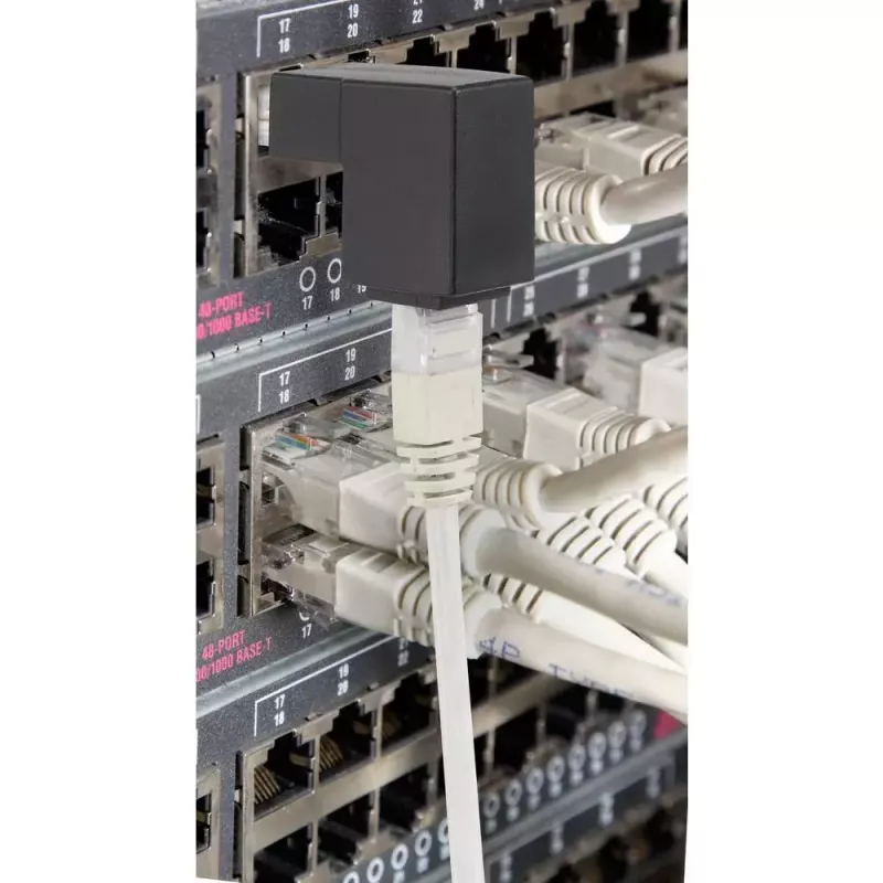 Cable gender changer Renkforce RF-4087416
