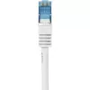Networking Cable Renkforce RF-4145280 0.5m Cat6a S/FTP