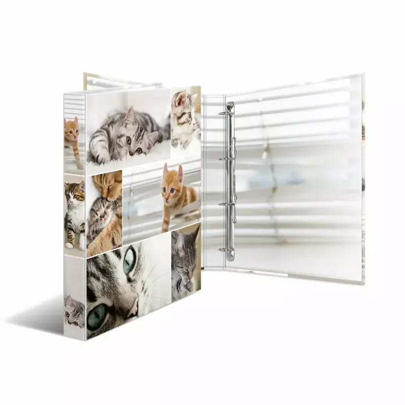 Ring binder HERMA 19359 A4 Multicolour