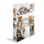 Ring binder HERMA 19359 A4 Multicolour