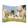Ring binder HERMA 19427 A4 Multicolour