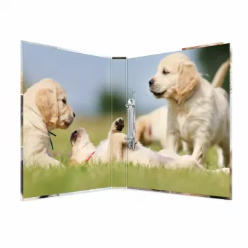 Ring binder HERMA 19427 A4 Multicolour