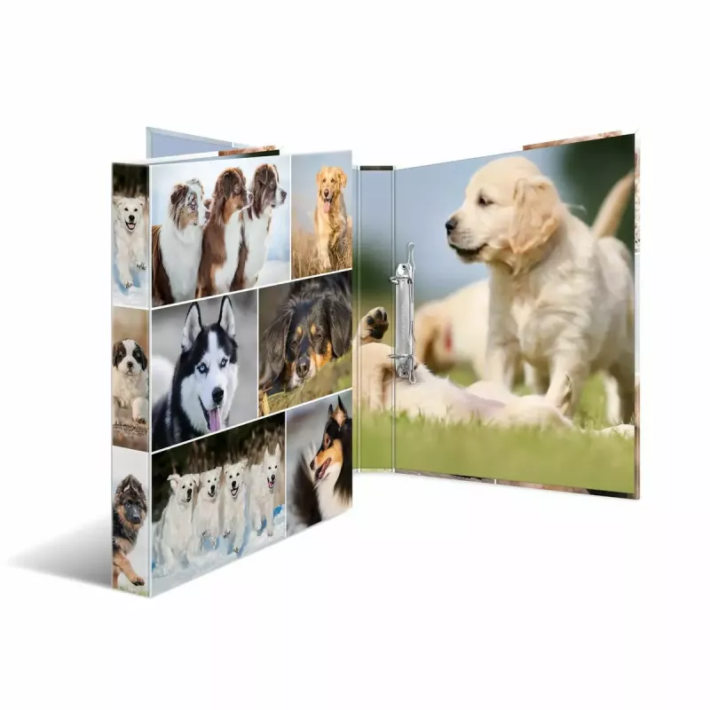 Ring binder HERMA 19427 A4 Multicolour