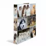 Ring binder HERMA 19427 A4 Multicolour