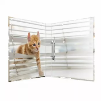 Ring binder HERMA 19428 A4 Multicolour