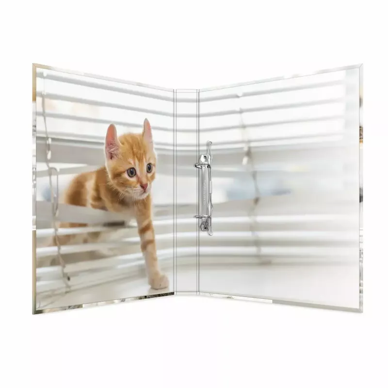 Ring binder HERMA 19428 A4 Multicolour