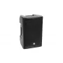 Full range speaker Omnitronic 11038761 100 W