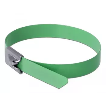Cable Tie DeLOCK 18806 Steel Green 300mm 10 pcs