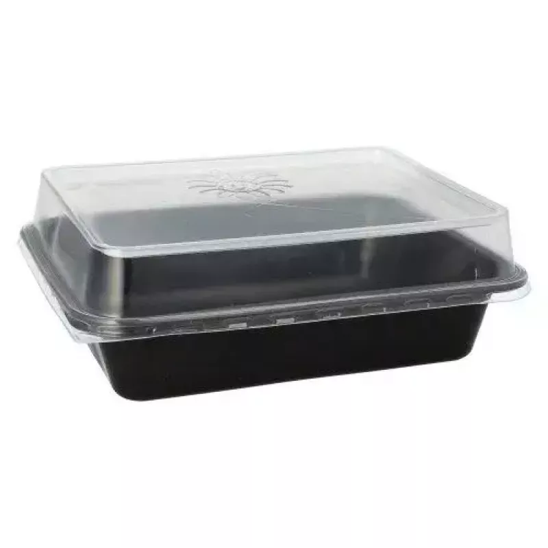 Disposable food storage container Papstar 96552 Polypropylene Black 227x178x45mm