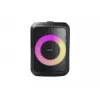 Grundig Party Hit Black Wireless 90 W