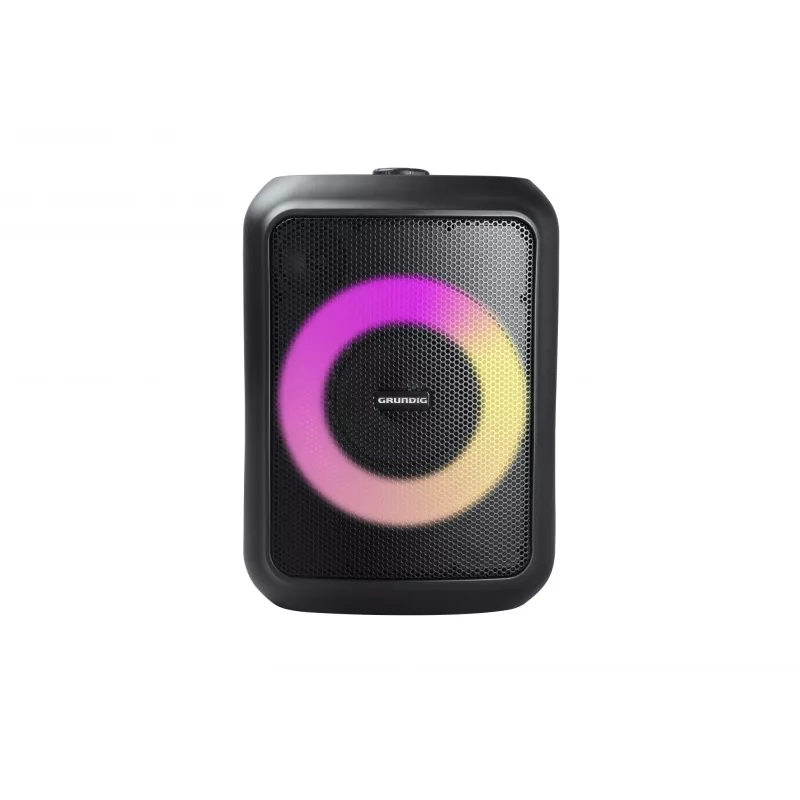 Grundig Party Hit Black Wireless 90 W
