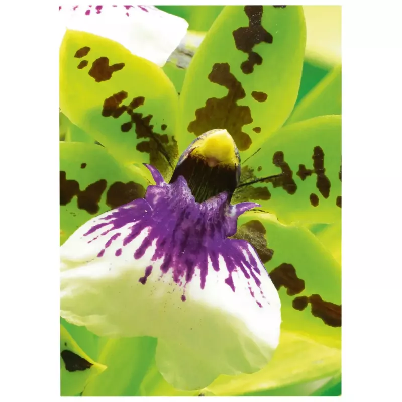 Inkjet Paper Avery Premium A4 250g White Satin-matt