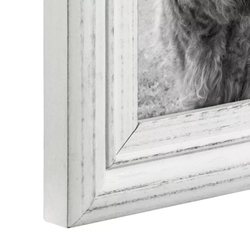 Single picture frame Hama Canuto White Glass Wood