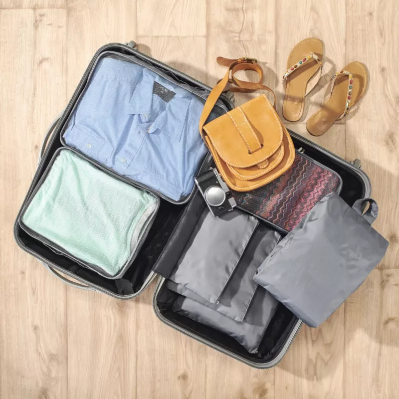 Hama 00096293 clothing storage bag, grey