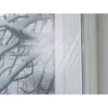 Window Film Self-adhesive TESA 05432-00000-02