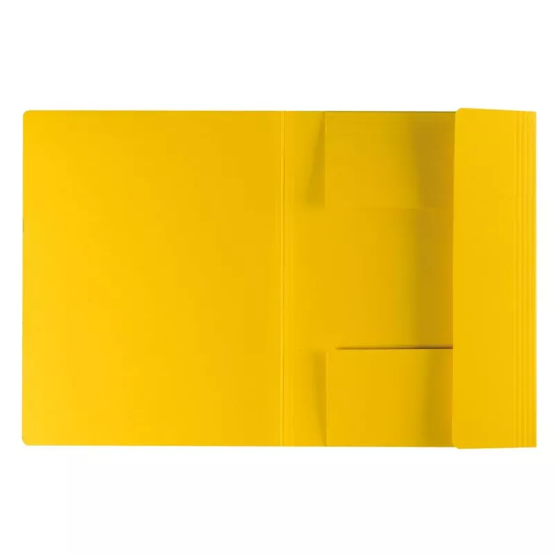 Folder Cardboard Herlitz 11076437