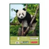 Writing notebook Herlitz 10416634 A3 25 sheets Multicolour