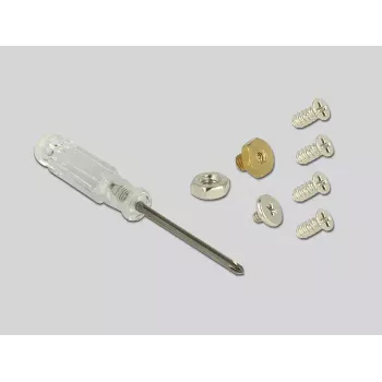 Internal M.2 Adapter DeLOCK 62792