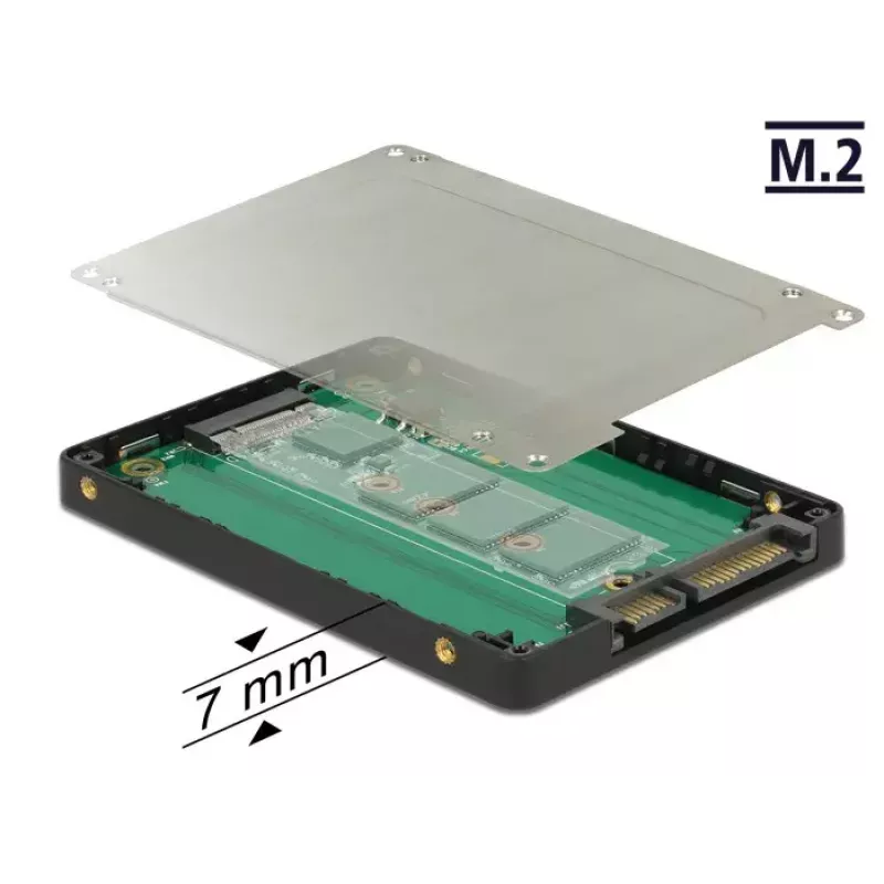 Internal M.2 Adapter DeLOCK 62792