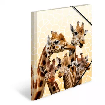 Conventional file folder HERMA Giraffe friends Polypropylene (PP) Multicolour A4