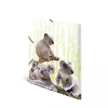 Conventional file folder HERMA Koalafamily 19958