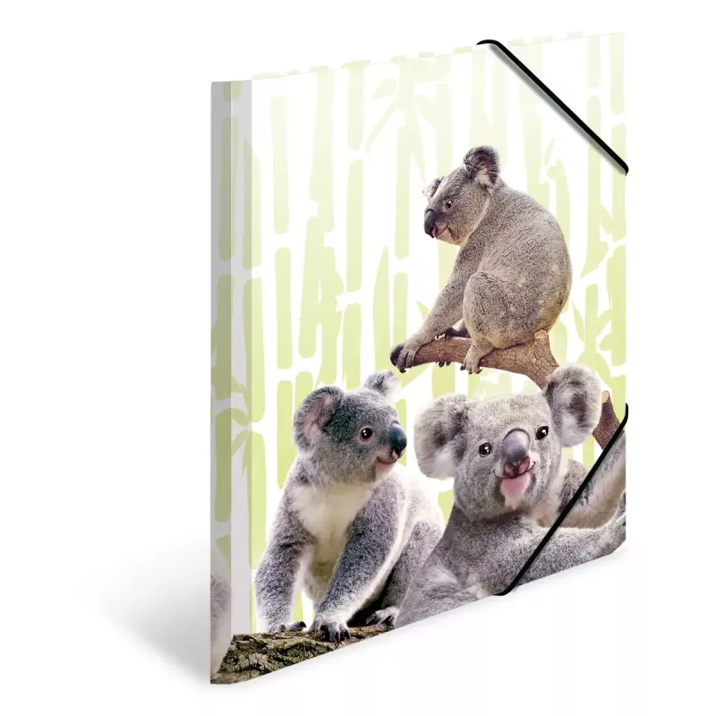 Conventional file folder HERMA Koalafamily 19958