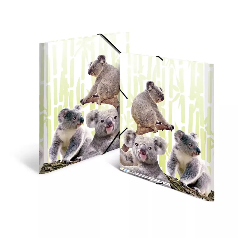 Conventional file folder HERMA Koalafamily 19958