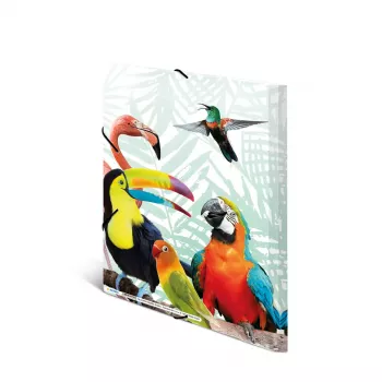 Conventional file folder HERMA Tropical clique