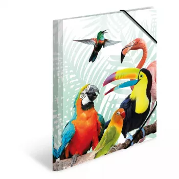 Conventional file folder HERMA Tropical clique