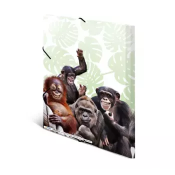 Conventional file folder HERMA Monkey gang 19960