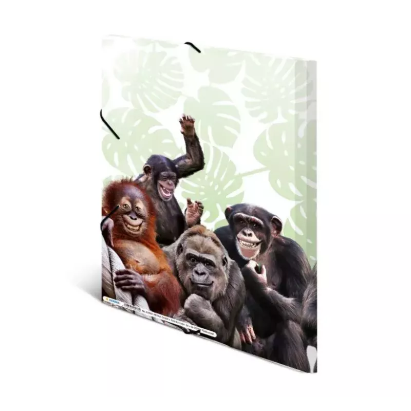Conventional file folder HERMA Monkey gang 19960