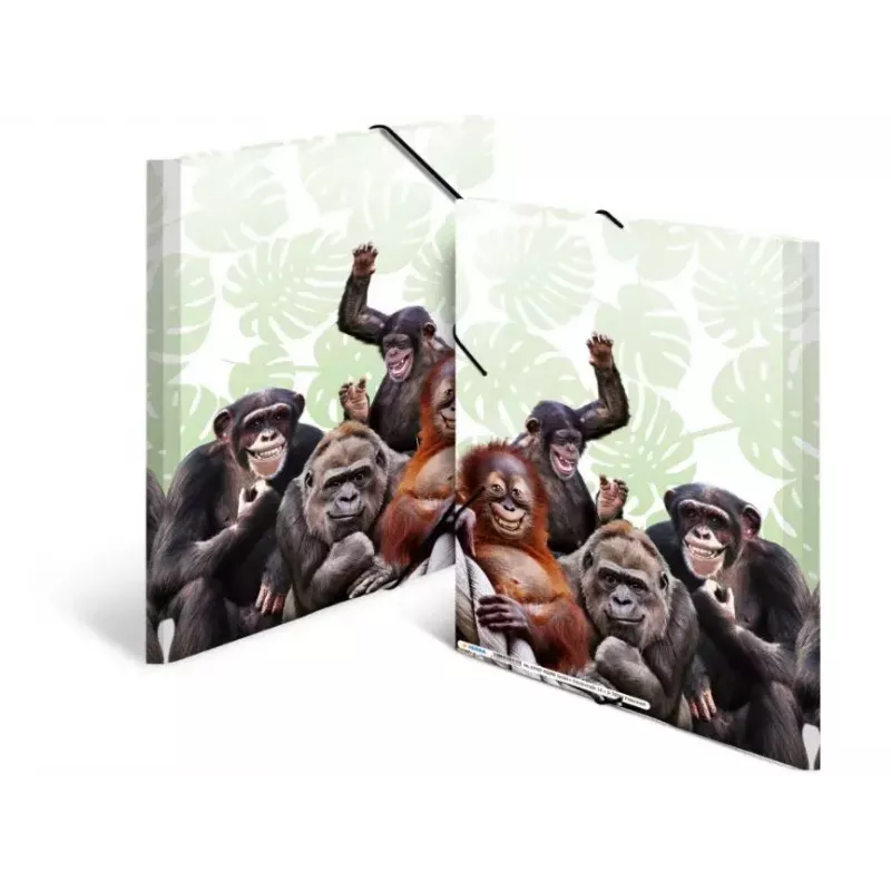 Conventional file folder HERMA Monkey gang 19960