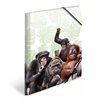 Conventional file folder HERMA Monkey gang 19960