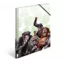 Conventional file folder HERMA Monkey gang 19960