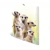 Conventional file folder HERMA Meerkat troop 19961