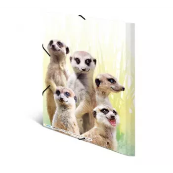 Conventional file folder HERMA Meerkat troop 19961
