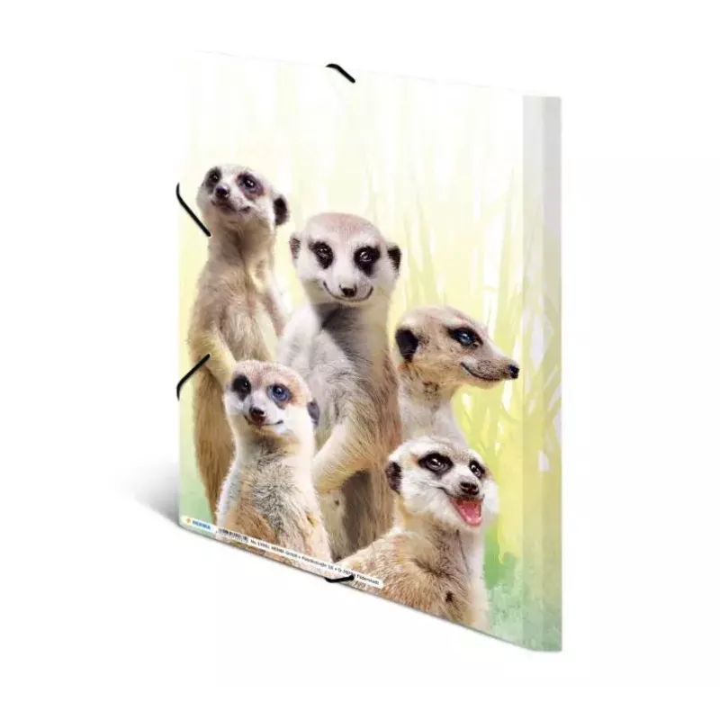 Conventional file folder HERMA Meerkat troop 19961