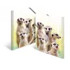 Conventional file folder HERMA Meerkat troop 19961