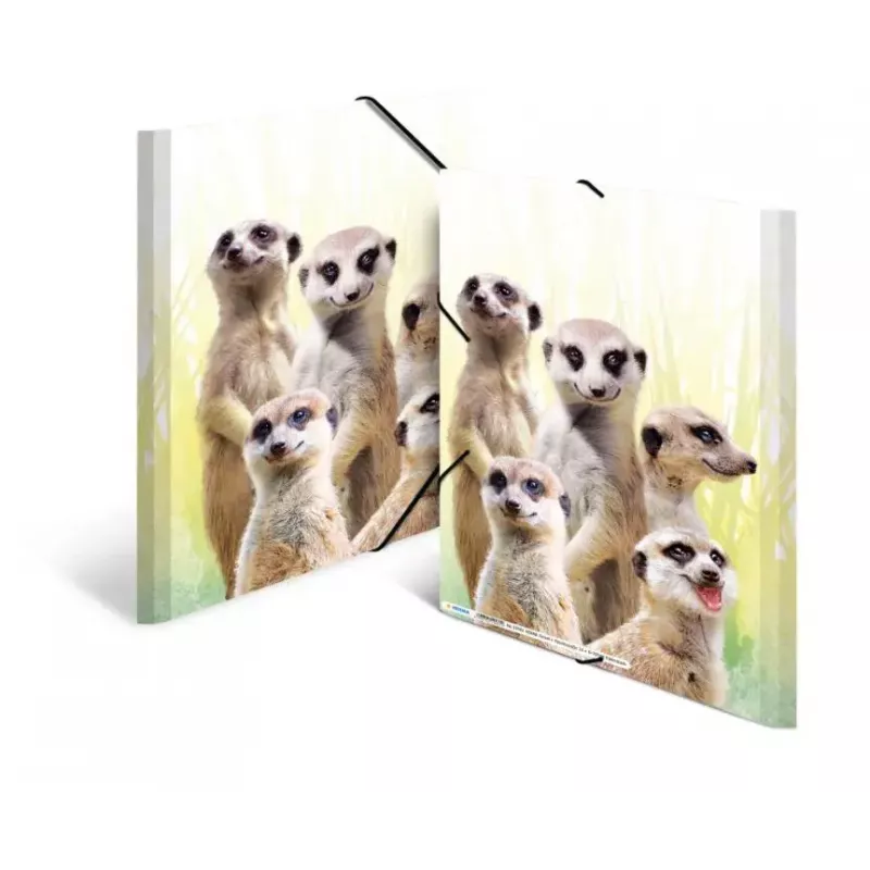 Conventional file folder HERMA Meerkat troop 19961